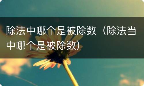 除法中哪个是被除数（除法当中哪个是被除数）