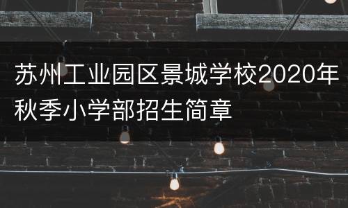 苏州工业园区景城学校2020年秋季小学部招生简章