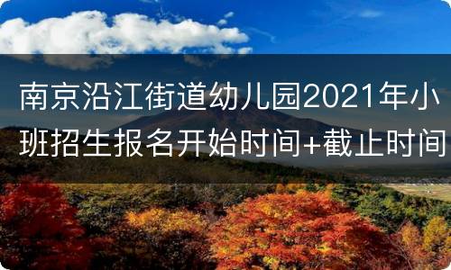 南京沿江街道幼儿园2021年小班招生报名开始时间+截止时间