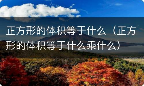正方形的体积等于什么（正方形的体积等于什么乘什么）