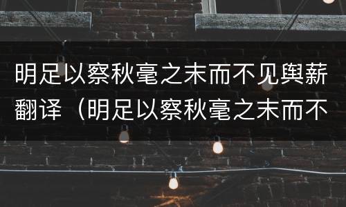 明足以察秋毫之末而不见舆薪翻译（明足以察秋毫之末而不见舆薪翻译成现代汉语）