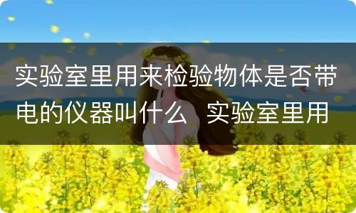 实验室里用来检验物体是否带电的仪器叫什么  实验室里用来检验物体是否带电的仪器叫做什么