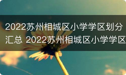 2022苏州相城区小学学区划分汇总 2022苏州相城区小学学区划分汇总图