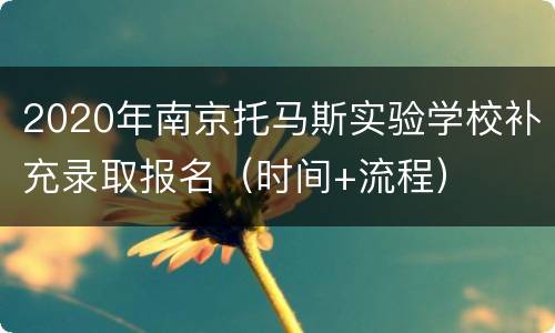 2020年南京托马斯实验学校补充录取报名（时间+流程）