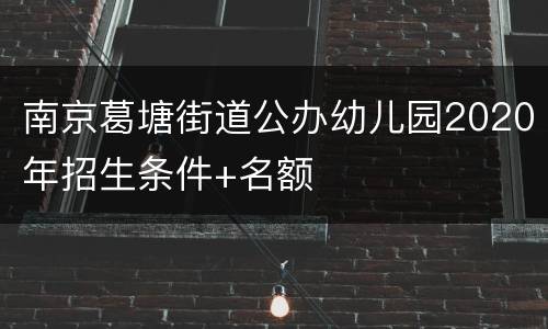 南京葛塘街道公办幼儿园2020年招生条件+名额