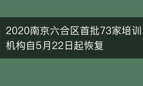 2020南京六合区首批73家培训机构自5月22日起恢复