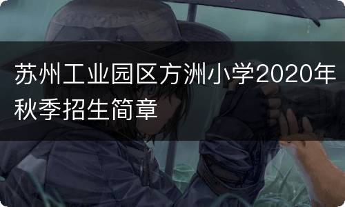 苏州工业园区方洲小学2020年秋季招生简章