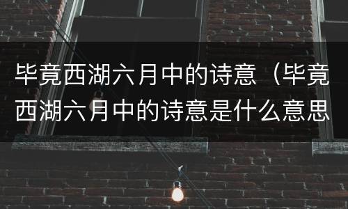 毕竟西湖六月中的诗意（毕竟西湖六月中的诗意是什么意思）