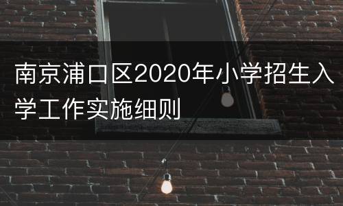 南京浦口区2020年小学招生入学工作实施细则