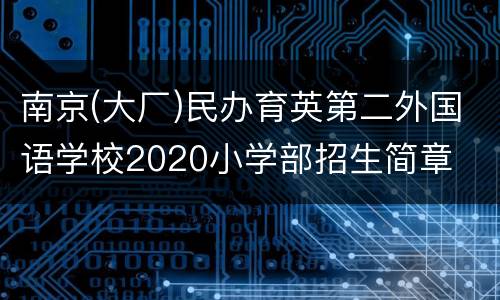 南京(大厂)民办育英第二外国语学校2020小学部招生简章