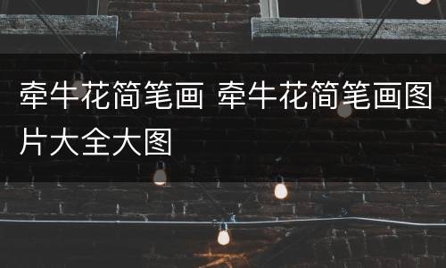 牵牛花简笔画 牵牛花简笔画图片大全大图