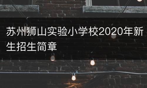 苏州狮山实验小学校2020年新生招生简章