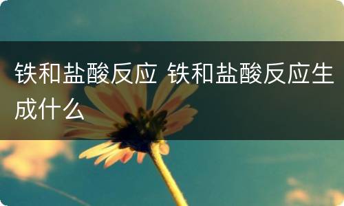 铁和盐酸反应 铁和盐酸反应生成什么