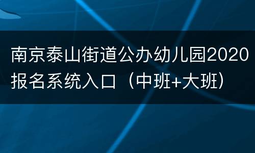 南京泰山街道公办幼儿园2020报名系统入口（中班+大班）