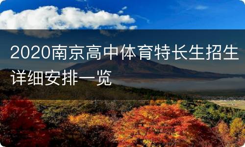 2020南京高中体育特长生招生详细安排一览