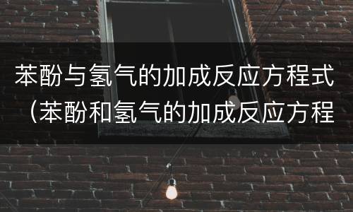 苯酚与氢气的加成反应方程式（苯酚和氢气的加成反应方程式）