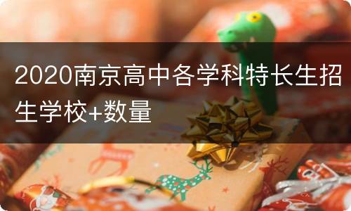 2020南京高中各学科特长生招生学校+数量