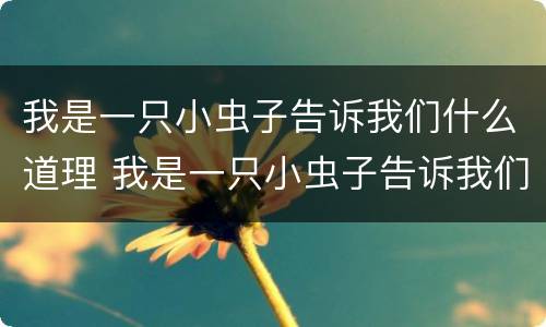 我是一只小虫子告诉我们什么道理 我是一只小虫子告诉我们什么道理作文