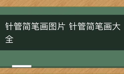 针管简笔画图片 针管简笔画大全