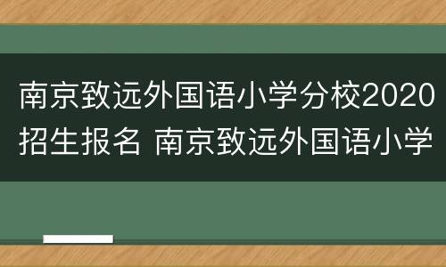 南京致远外国语小学分校2020招生报名 南京致远外国语小学招生简章