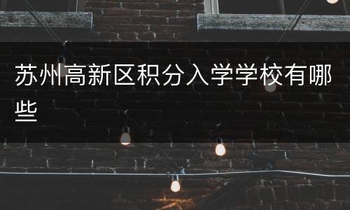 苏州高新区积分入学学校有哪些