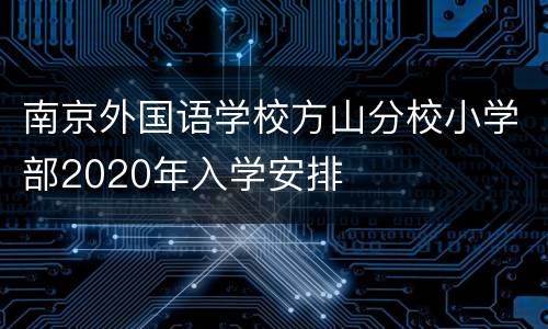 南京外国语学校方山分校小学部2020年入学安排