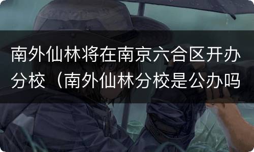 南外仙林将在南京六合区开办分校（南外仙林分校是公办吗）