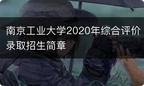 南京工业大学2020年综合评价录取招生简章
