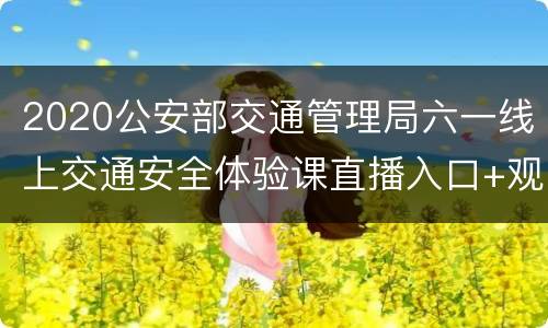 2020公安部交通管理局六一线上交通安全体验课直播入口+观看时间
