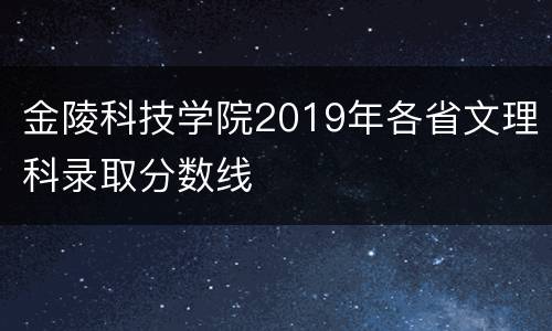金陵科技学院2019年各省文理科录取分数线