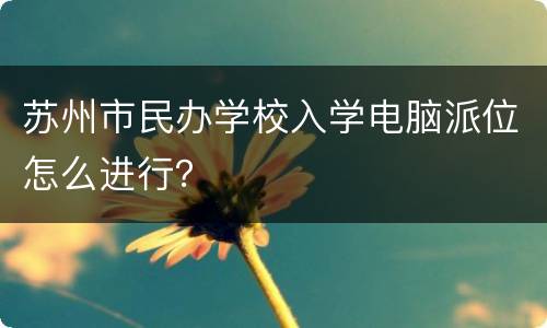 苏州市民办学校入学电脑派位怎么进行？
