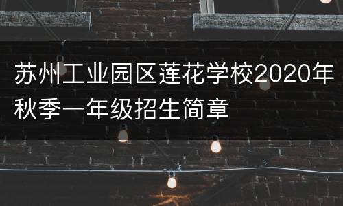 苏州工业园区莲花学校2020年秋季一年级招生简章