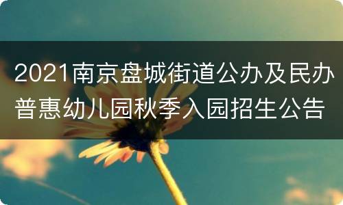 2021南京盘城街道公办及民办普惠幼儿园秋季入园招生公告