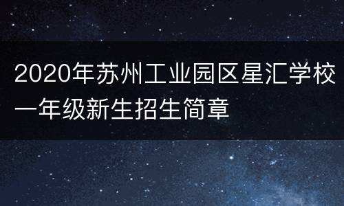 2020年苏州工业园区星汇学校一年级新生招生简章
