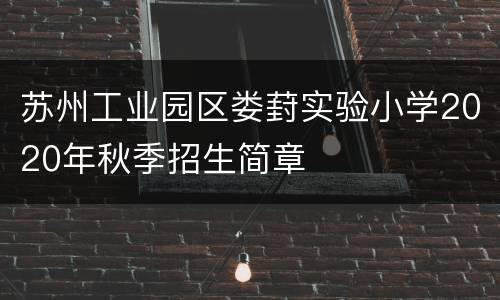 苏州工业园区娄葑实验小学2020年秋季招生简章