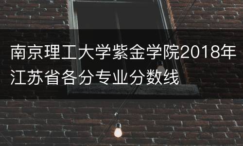 南京理工大学紫金学院2018年江苏省各分专业分数线