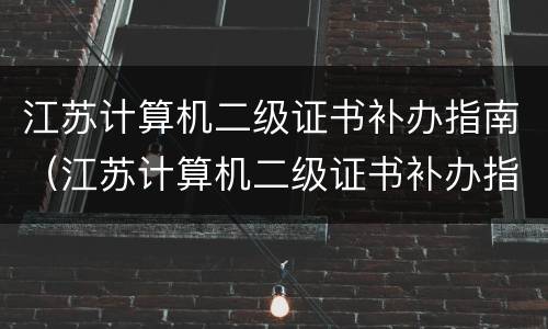 江苏计算机二级证书补办指南（江苏计算机二级证书补办指南最新）