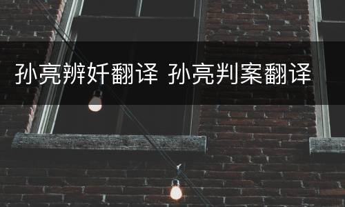 孙亮辨奷翻译 孙亮判案翻译