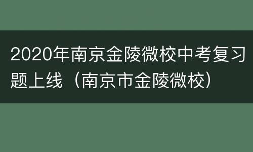 2020年南京金陵微校中考复习题上线（南京市金陵微校）
