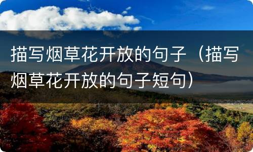 描写烟草花开放的句子（描写烟草花开放的句子短句）