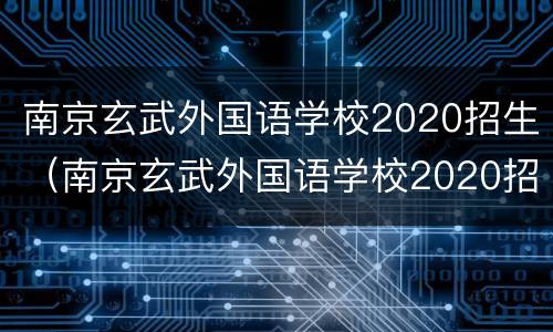 南京玄武外国语学校2020招生（南京玄武外国语学校2020招生人数）