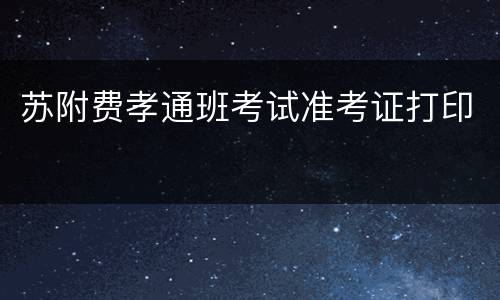 苏附费孝通班考试准考证打印