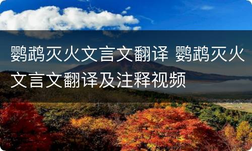 鹦鹉灭火文言文翻译 鹦鹉灭火文言文翻译及注释视频