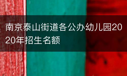 南京泰山街道各公办幼儿园2020年招生名额