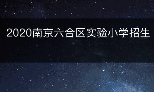 2020南京六合区实验小学招生