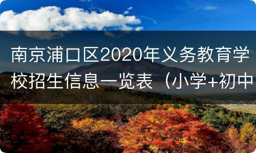 南京浦口区2020年义务教育学校招生信息一览表（小学+初中）