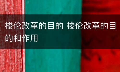 梭伦改革的目的 梭伦改革的目的和作用
