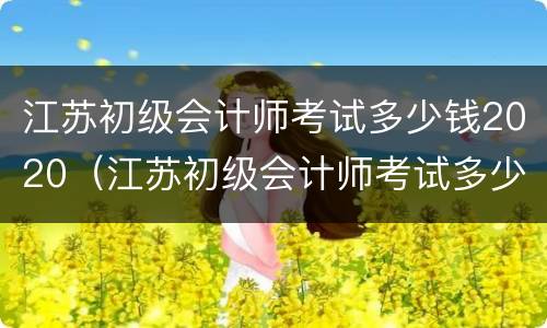 江苏初级会计师考试多少钱2020（江苏初级会计师考试多少钱）