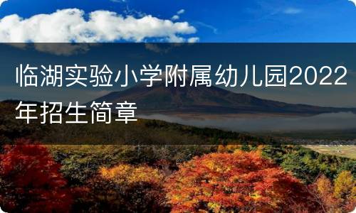 临湖实验小学附属幼儿园2022年招生简章