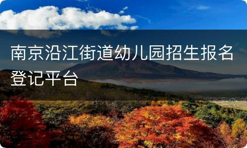 南京沿江街道幼儿园招生报名登记平台